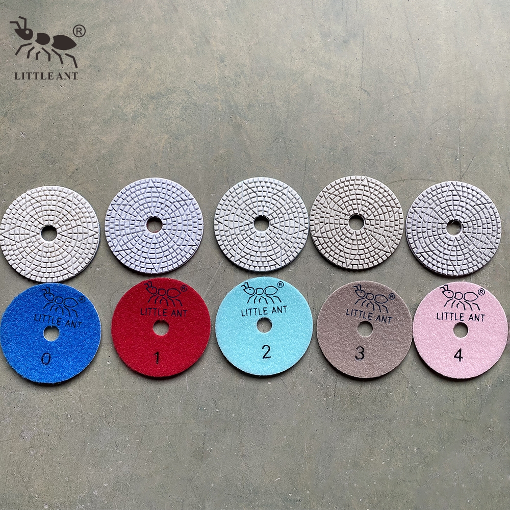 _0012_3wp4-st 5step kleine Ameise