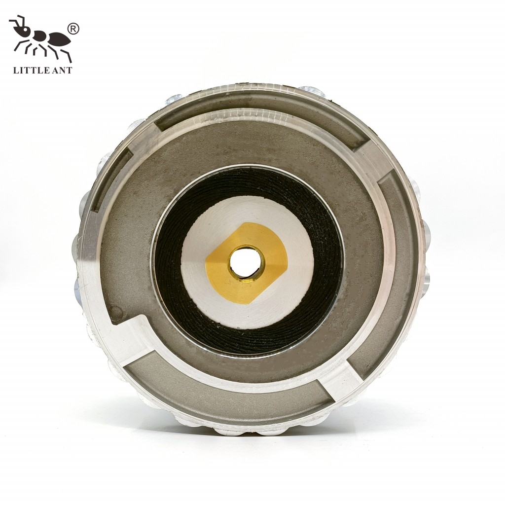 LITTLE ANT Snail Lock Diamant-Polierpadhalter für Steinschleifblock-Werkzeugverbindung